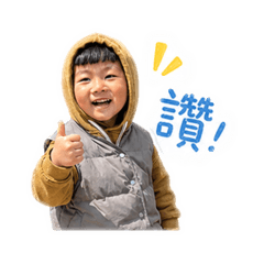禾呈日青2.0