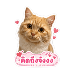 Valentine_20260428163920