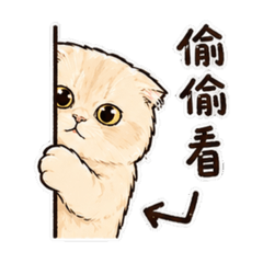 喵喵日常✨