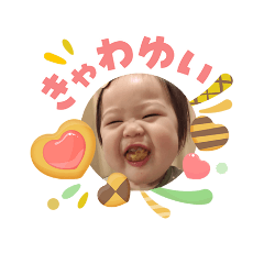 202605-sakura