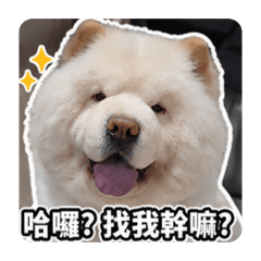 Leo 小情緒