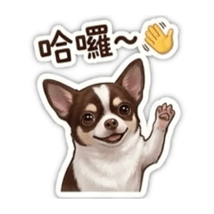 小吉貢丸