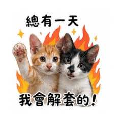股市韭菜momojojo