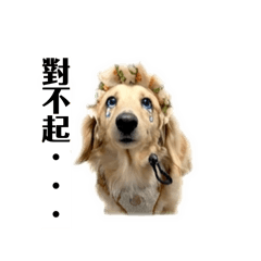 阿咘boooo Na