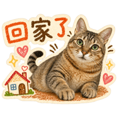 爪喵喵