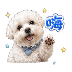 小白狗の實用日常用語