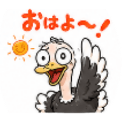 Silly Ostrich