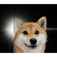 pon_20260510081804
