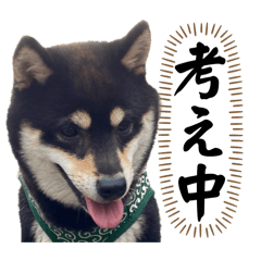 ISHII Stamp Studio_20260510152515