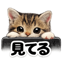 nao_20260510151745