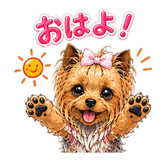 Sakura the Yorkie