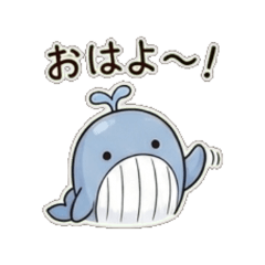 whale- Daily Chat Stickers