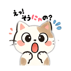 Ako_20260510075608
