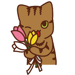 Latte Gen Q's spring