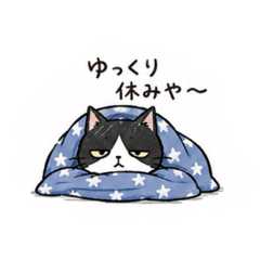 miyuki_20260510154814