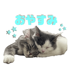 lumi_20260510155430