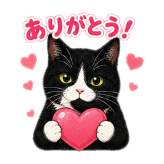 Monsieur.Tora