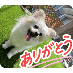 20260510092944line