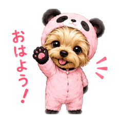 pink8nda_20260510155458