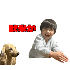 ReoChannel_20260510155726
