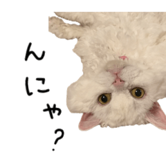 Riiiii_20260510160101