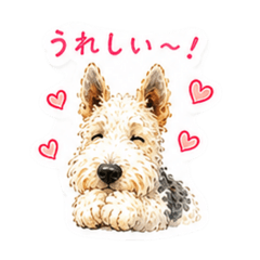 cocomaruru_20260510160130