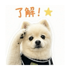 RAMU_20260510171447
