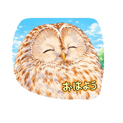 island_20260510172334