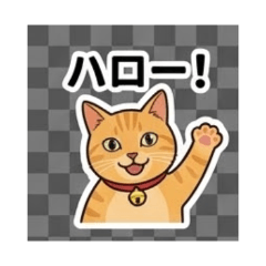 CAT -Daily Chat Stickers-