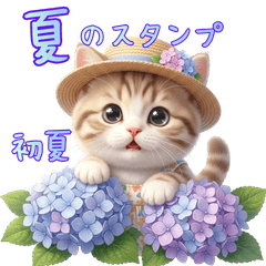 Cat stickers enjoying summer