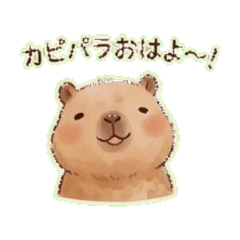 Capybara, Dog, Cat-Daily Chat Stickers