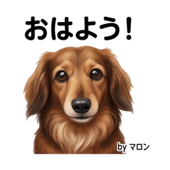 Marron Cute Daily Stickers Vol01