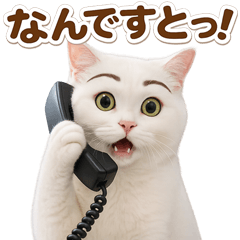 とびだす★働く まゆげ猫★にゃんこ