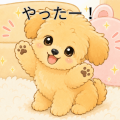 Sweet Puppies Everyday