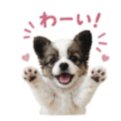 Baby Coco Puppy Stickers