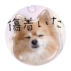 marimo_20260510095018