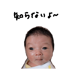 shio_20260510094523
