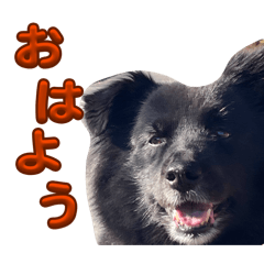 yuda_20260510095719