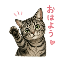 supernyanzu