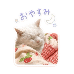 ari_20260510163703