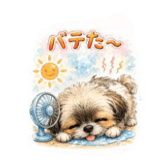 apricot_20260510170630
