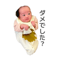 haruchi_20260510171240