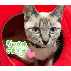 yurukuro_20260510171316