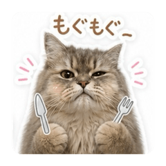 mochiko.buhi_20260510171135