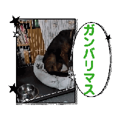 umemugi_20260513113358