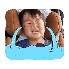 hanaam_20260513130809