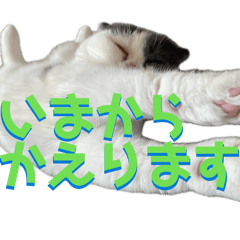 mikuino_20260510171245
