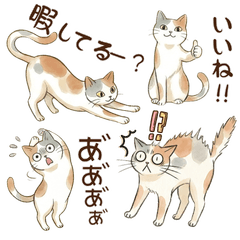 A cat with full of emotions / Japanese