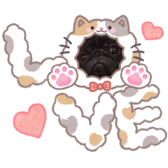 miho_20260510181502