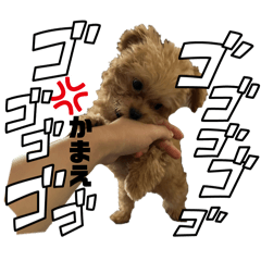 masato_20260511201028